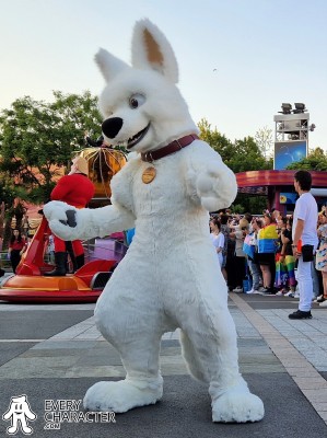 Bolt in the Regular Look - 2009-... Outfit