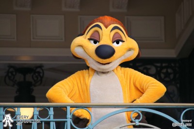 Timon in the Regular Look - 2012-... Outfit Timon in the Regular Look - 2012-... Outfit