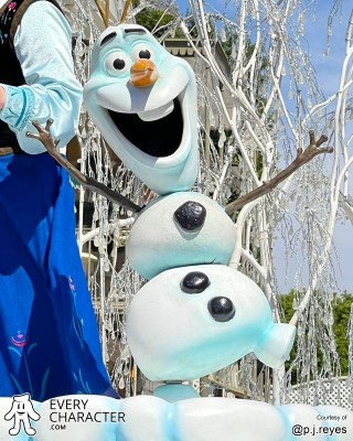 Olaf in the DLR - A Christmas Fantasy Outfit Olaf in the DLR - A Christmas Fantasy Outfit