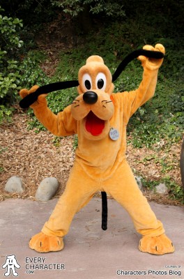 Pluto - We love you Pluto - We love you