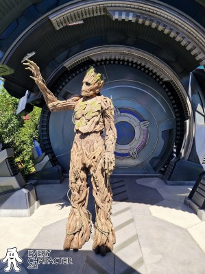 Groot Groot