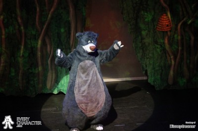 Baloo in the DCL - Believe Outfit