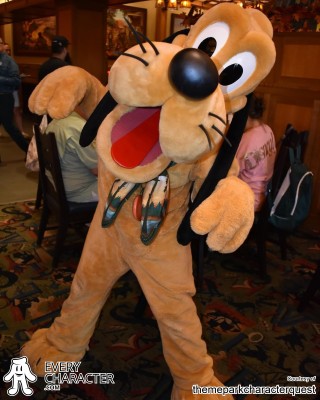 Pluto in the DLR - Storytellers Cafe - Mickey's Autumn Adventure Outfit Pluto in the DLR - Storytellers Cafe - Mickey's Autumn Adventure Outfit