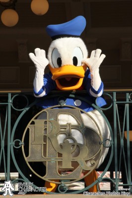 Donald Duck in the Regular Look - 2002-... Outfit Donald Duck in the Regular Look - 2002-... Outfit