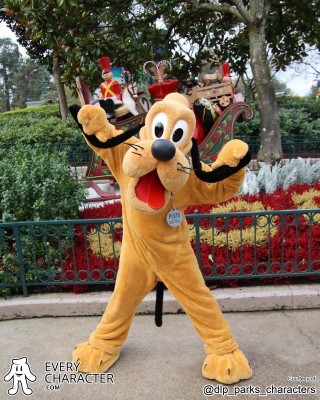 Pluto Present Pluto Present