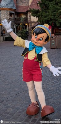 Pinocchio in the Regular Look - 1998-... Outfit Pinocchio in the Regular Look - 1998-... Outfit