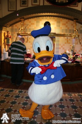 Donald Duck in the Regular Look - 2002-... Outfit Donald Duck in the Regular Look - 2002-... Outfit