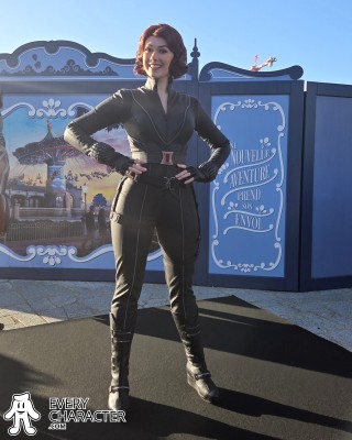 Black Widow in the Regular Look - 2012-... Outfit