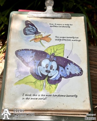 Butterfly Chart Butterfly Chart