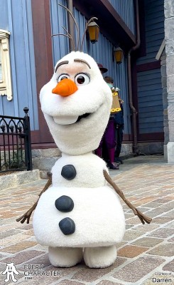 Falling for Olaf Falling for Olaf