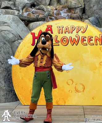 Pirate Pirate