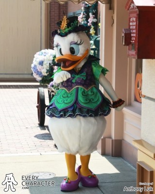 Daisy Duck Daisy Duck