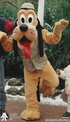 Pluto in Hat & Adventureland Vest Pluto in Hat & Adventureland Vest