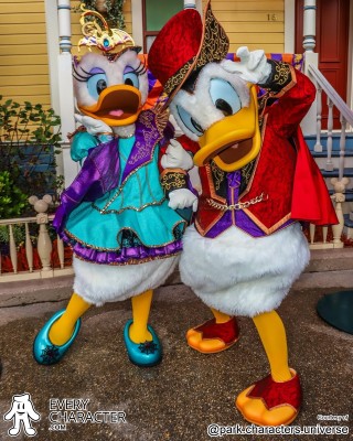 Duck