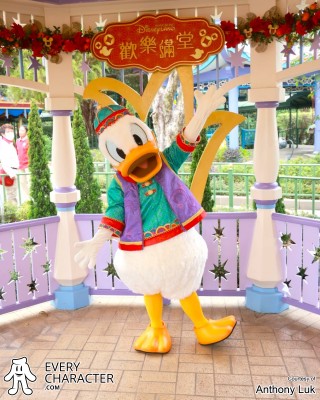 Donald Duck Donald Duck
