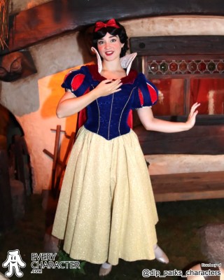 Snow White in the Regular Look - 2013-... Outfit Snow White in the Regular Look - 2013-... Outfit