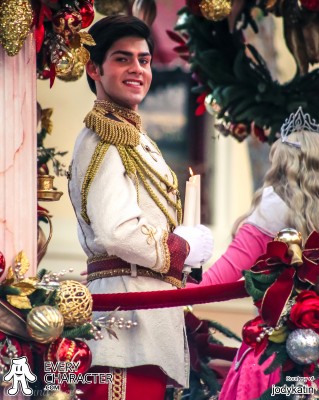 Charming in the DLR - A Christmas Fantasy Outfit Charming in the DLR - A Christmas Fantasy Outfit