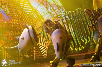 Rhinoceros in the DLP - Mickey & the Magician Outfit