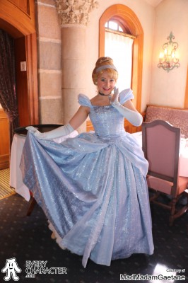 Cinderella in the Regular Look - 2013-... Outfit Cinderella in the Regular Look - 2013-... Outfit