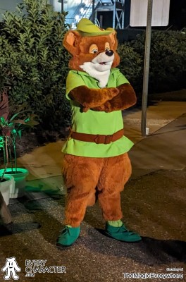 Robin Hood in the Regular Look - 1998-... Outfit Robin Hood in the Regular Look - 1998-... Outfit