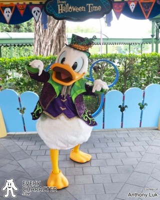 Donald Duck Donald Duck