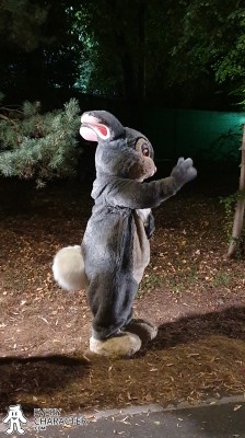 Thumper in the Regular Look - 2004-... Outfit Thumper in the Regular Look - 2004-... Outfit
