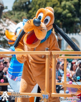 Pluto in the DLR - Disneyland 70th Annivesary Outfit Pluto in the DLR - Disneyland 70th Annivesary Outfit