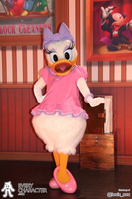 Daisy Duck in the Regular Look - 2002-... Outfit Daisy Duck in the Regular Look - 2002-... Outfit