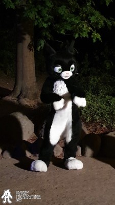 Mittens in the Regular Look - 2009-... Outfit Mittens in the Regular Look - 2009-... Outfit