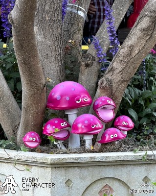 You! You're a star! You! You're a star!