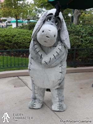 Its not much of a tail... Its not much of a tail...