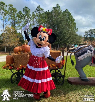 Minnie Mouse in the WDW - Mexican Minnie Outfit Minnie Mouse in the WDW - Mexican Minnie Outfit