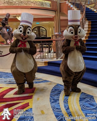 Dale in French Chef in the DCL - France Outfit Dale in French Chef in the DCL - France Outfit