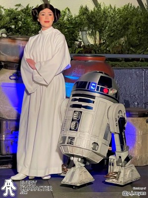 Princess Leia & R2D2 Princess Leia & R2D2