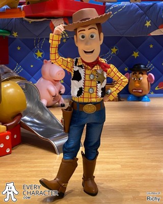 Woody Disney park character Woody
