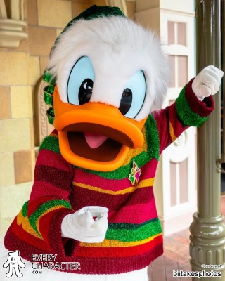 Donald Duck in the DLR - Christmas 2025 Outfit Donald Duck in the DLR - Christmas 2025 Outfit