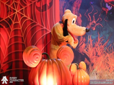 n his Halloween Themed Collar Pluto in the Regular Look - 2005-... Short Tongue Outfit