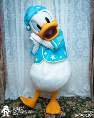 Donald Duck in the HKDL - Disneyland Hotel - Bedtime Story Meet 'n' Greet Outfit Donald Duck in the HKDL - Disneyland Hotel - Bedtime Story Meet 'n' Greet Outfit