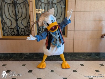 Donald Duck in Pirate in the DCL - Pirate Night Outfit Donald Duck in Pirate in the DCL - Pirate Night Outfit