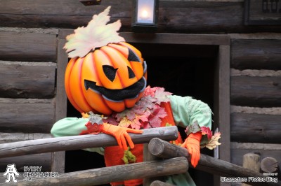 Pumpkin Man Pumpkin Man