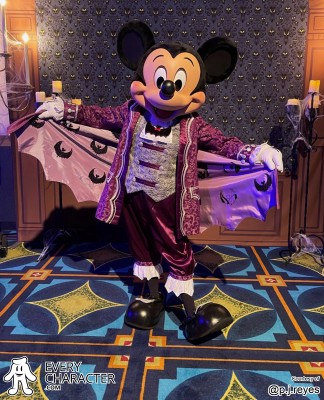 Mickey Mouse Mickey Mouse