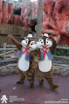 Chip in the WDW - Frontierland Outfit