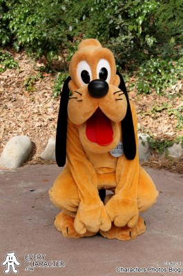 Pluto - Good Boy Pluto - Good Boy