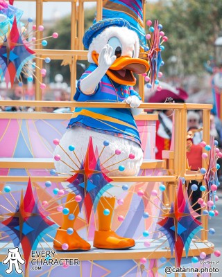 Donald Duck in the DLR - Disneyland 70th Annivesary Outfit Donald Duck in the DLR - Disneyland 70th Annivesary Outfit