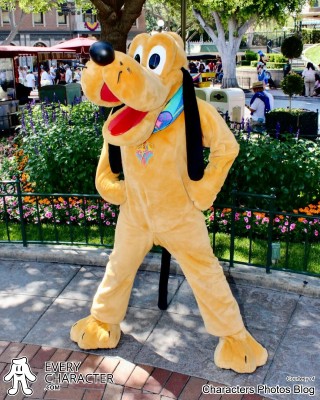 Pluto in the DLR - Disneyland 70th Annivesary Outfit Pluto in the DLR - Disneyland 70th Annivesary Outfit
