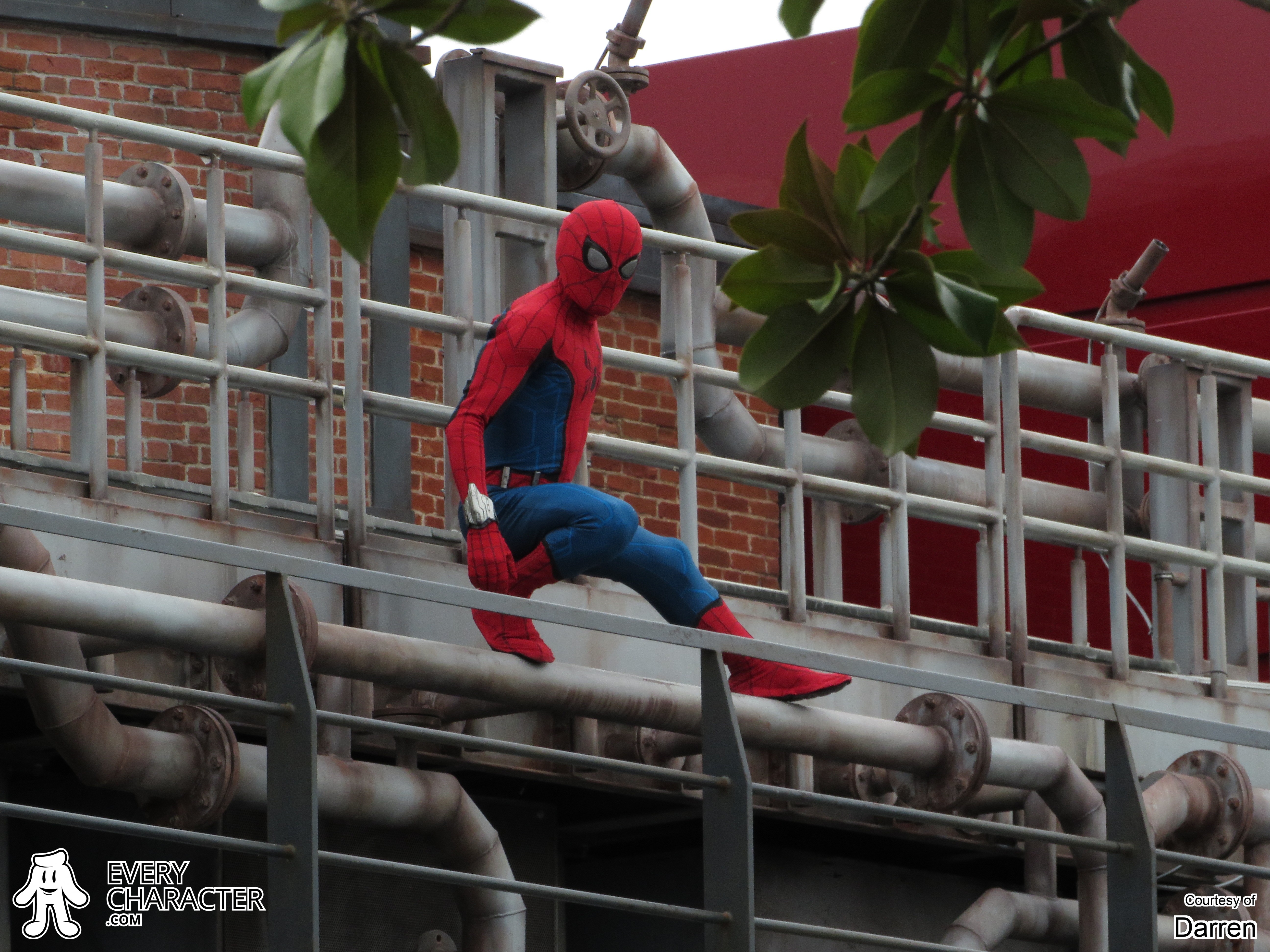 DLP - The Amazing Spider-Man on 