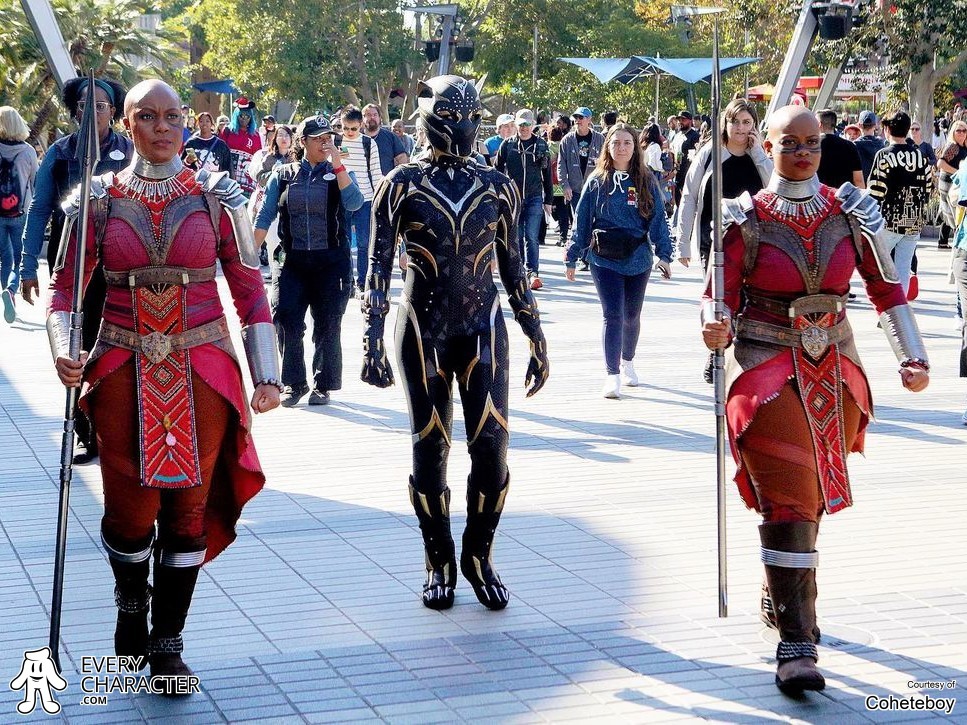 DCA - Avengers Campus - Meet 'n' Greet with Black Panther: Shuri on ...